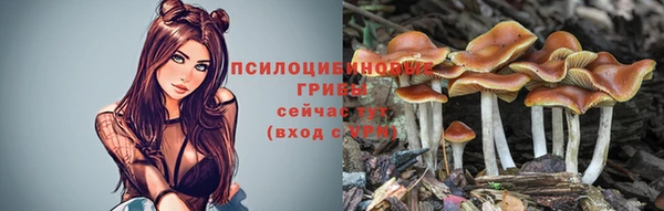 прущие грибы Володарск