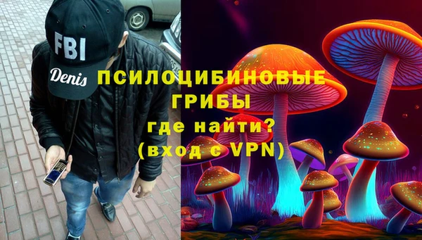 прущие грибы Володарск