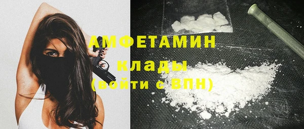 прущие грибы Володарск