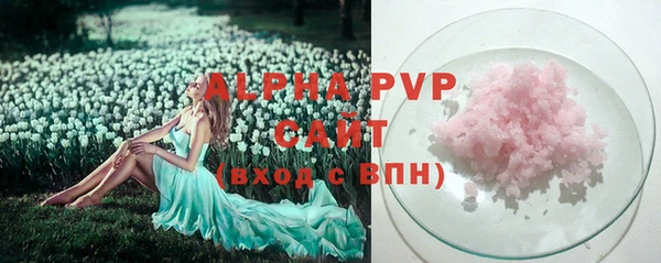 прущие грибы Володарск