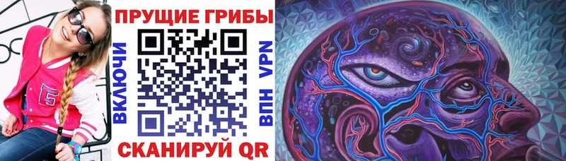 Псилоцибиновые грибы GOLDEN TEACHER  Карачев 
